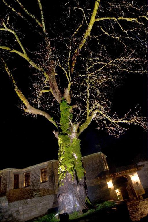 Archontiko Geki 1876 Hotel Papigko Eksteriør billede